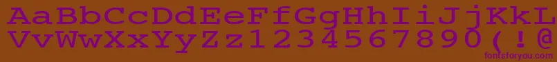 NtcouriervkNormal140n-fontti – violetit fontit ruskealla taustalla