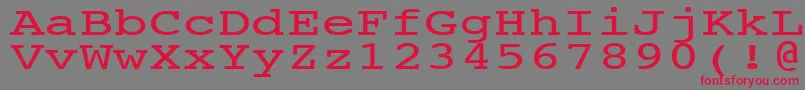フォントNtcouriervkNormal140n – 赤い文字の灰色の背景