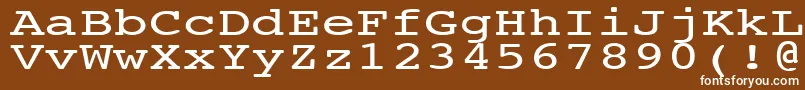 NtcouriervkNormal140n-fontti – valkoiset fontit ruskealla taustalla