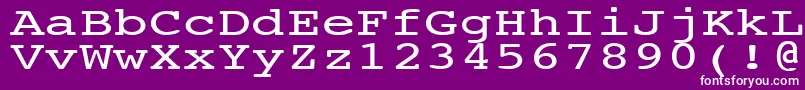 フォントNtcouriervkNormal140n – 紫の背景に白い文字