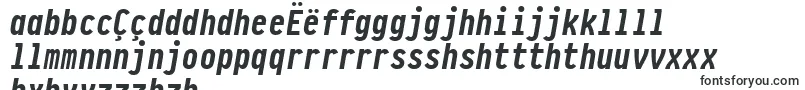 More about PragmataproBoldItalic Font PragmataproBoldItalic Font – Nyanja Fonts