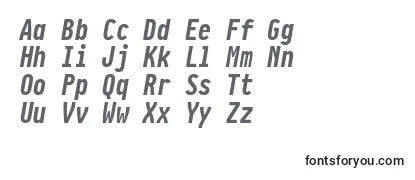 Обзор шрифта PragmataproBoldItalic