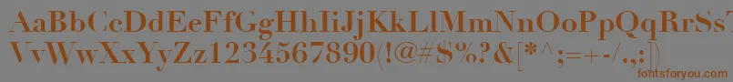 Шрифт LinotypeDidotLtBold – коричневые шрифты на сером фоне