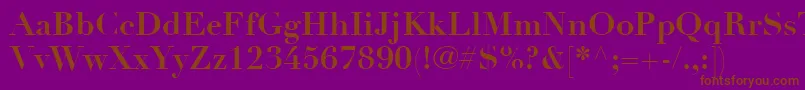 LinotypeDidotLtBold Font – Brown Fonts on Purple Background