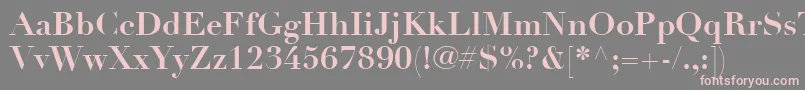 フォントLinotypeDidotLtBold – 灰色の背景にピンクのフォント