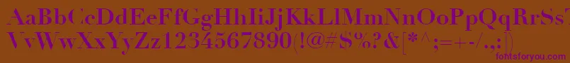 LinotypeDidotLtBold Font – Purple Fonts on Brown Background