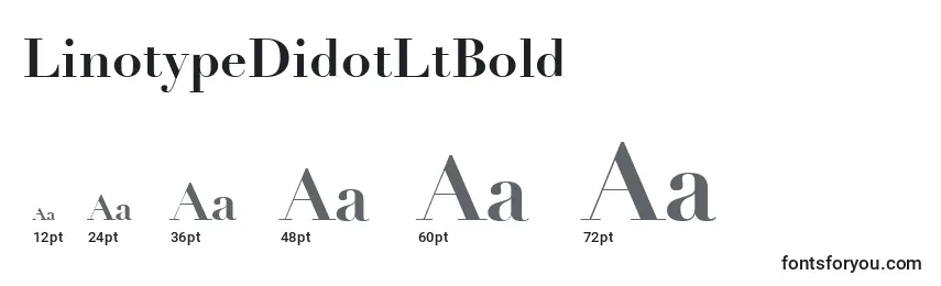 LinotypeDidotLtBold Font Sizes