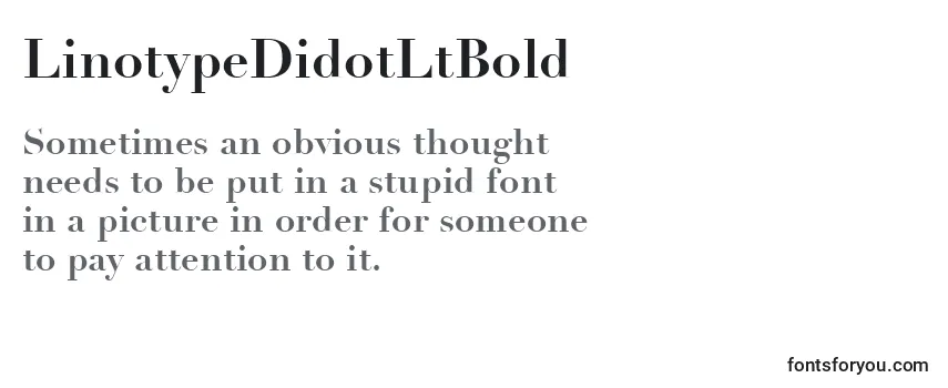 Przegląd czcionki LinotypeDidotLtBold