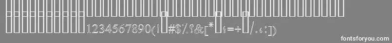 フォントFarsiSimpleOutline – 灰色の背景に白い文字