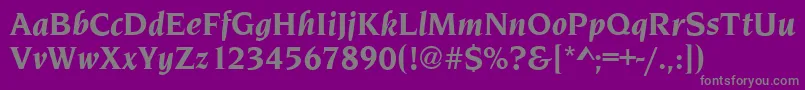 NavarroBolditalic-Schriftart – Graue Schriften auf violettem Hintergrund