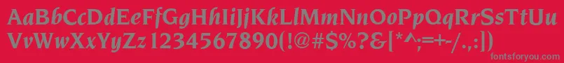 NavarroBolditalic Font – Gray Fonts on Red Background