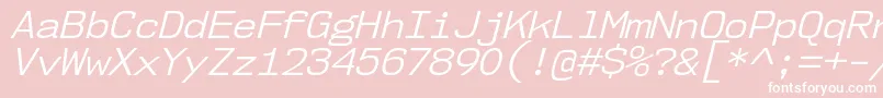 Nk57MonospaceNoBkIt-Schriftart – Weiße Schriften auf rosa Hintergrund
