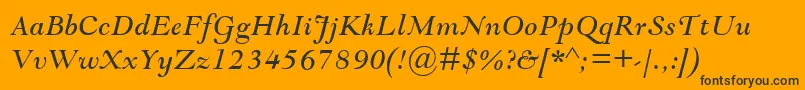 GoudyModernMtItalic Font – Black Fonts on Orange Background