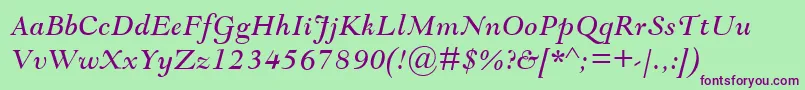 GoudyModernMtItalic Font – Purple Fonts on Green Background