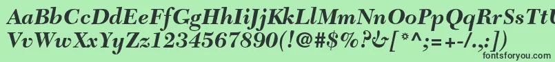 フォントNewcaledonialtstdBoldit – 緑の背景に黒い文字