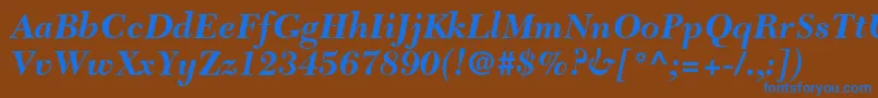Czcionka NewcaledonialtstdBoldit – niebieskie czcionki na brązowym tle