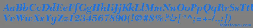 NewcaledonialtstdBoldit Font – Blue Fonts on Gray Background