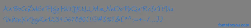 WiesbadenswingLtRoman Font – Blue Fonts on Gray Background