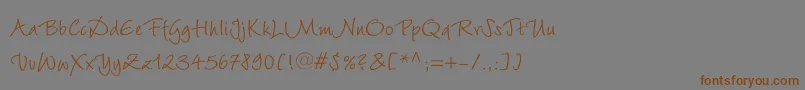 フォントWiesbadenswingLtRoman – 茶色の文字が灰色の背景にあります。