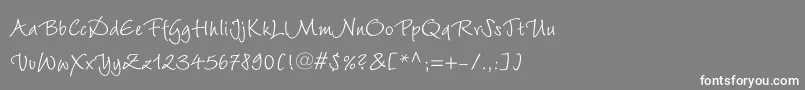 フォントWiesbadenswingLtRoman – 灰色の背景に白い文字