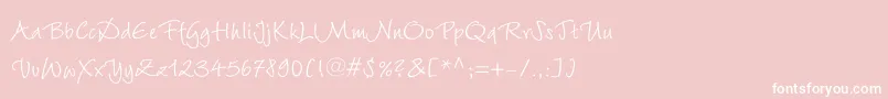 WiesbadenswingLtRoman Font – White Fonts on Pink Background