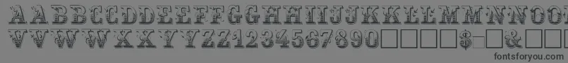 Maxini-Schriftart – Schwarze Schriften auf grauem Hintergrund