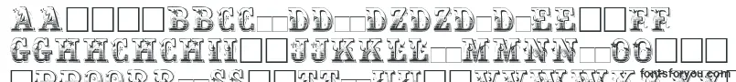 Weitere Informationen zur Maxini-Schriftart Maxini-Schriftart – slowakische Schriften