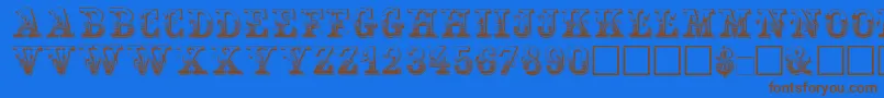 Maxini Font – Brown Fonts on Blue Background