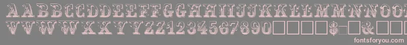 Maxini Font – Pink Fonts on Gray Background