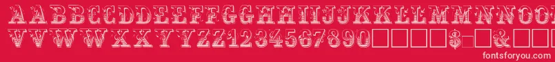 Maxini Font – Pink Fonts on Red Background