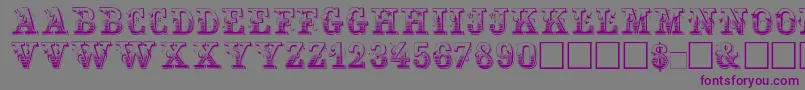 Maxini Font – Purple Fonts on Gray Background