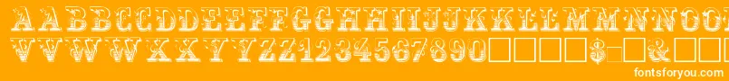 Maxini Font – White Fonts on Orange Background