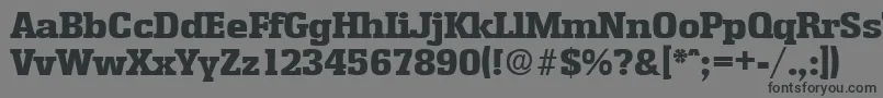 EnschedeExtrabold Font – Black Fonts on Gray Background