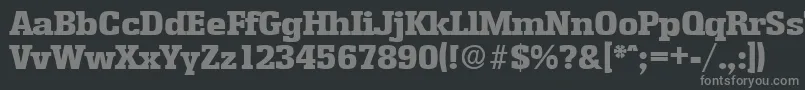 フォントEnschedeExtrabold – 黒い背景に灰色の文字