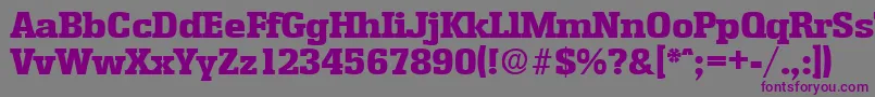 EnschedeExtrabold Font – Purple Fonts on Gray Background