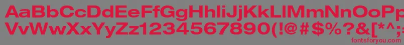 HelveticaneueltstdBdex Font – Red Fonts on Gray Background