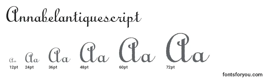Annabelantiquescript Font Sizes