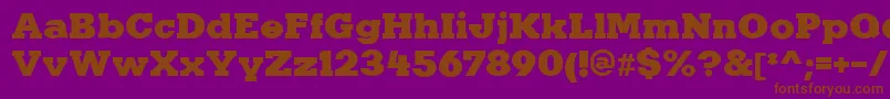 KaineRegular Font – Brown Fonts on Purple Background
