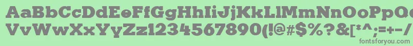KaineRegular Font – Gray Fonts on Green Background