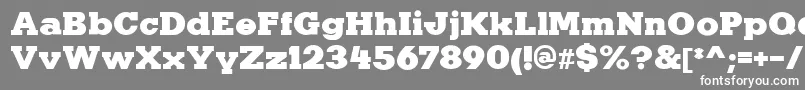 KaineRegular Font – White Fonts on Gray Background