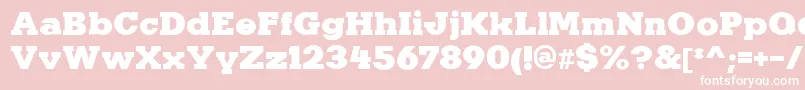 KaineRegular Font – White Fonts on Pink Background
