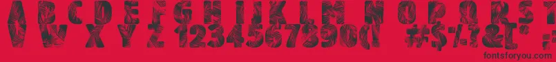 PalmBeach Font – Black Fonts on Red Background
