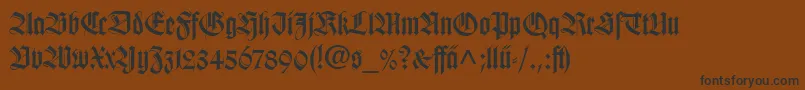 WilhelmKlingsporGotischLtDfr Font – Black Fonts on Brown Background