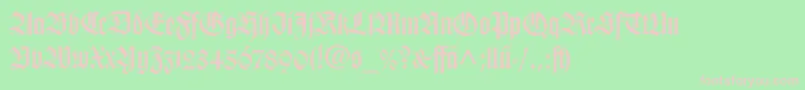 WilhelmKlingsporGotischLtDfr Font – Pink Fonts on Green Background