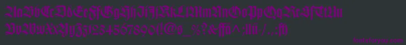 WilhelmKlingsporGotischLtDfr Font – Purple Fonts on Black Background