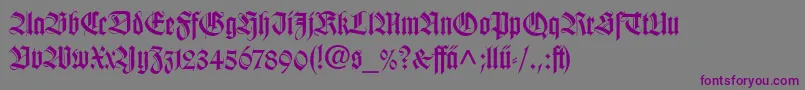WilhelmKlingsporGotischLtDfr Font – Purple Fonts on Gray Background