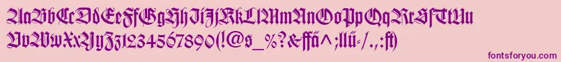 WilhelmKlingsporGotischLtDfr Font – Purple Fonts on Pink Background