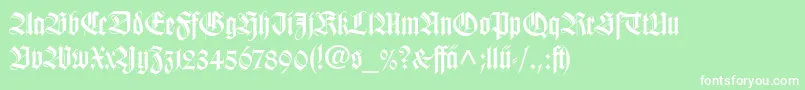 WilhelmKlingsporGotischLtDfr Font – White Fonts on Green Background