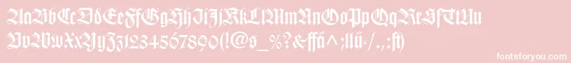 WilhelmKlingsporGotischLtDfr Font – White Fonts on Pink Background