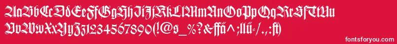 WilhelmKlingsporGotischLtDfr Font – White Fonts on Red Background